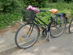 Fahrrad vor dem Juristischen Seminar